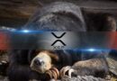 XRP’s On-Chain Data Flashes Warning While Sellers Continue to Dominate