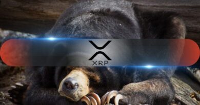XRP’s On-Chain Data Flashes Warning While Sellers Continue to Dominate