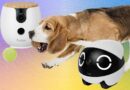 The 10 Best Pet Cameras of 2026: Furbo, Petcube, and Enabot