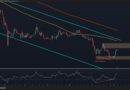 What Are XRP’s Next Targets After 8% Weekly Surge?