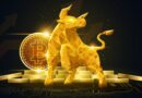 Bitwise Sees Bottom Forming Ahead of Fall Rally