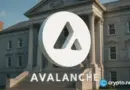 AVAX One starts CEO search as Avalanche treasury plan faces pressure