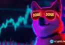 Dogecoin price nears key liquidation zone after $14M whale buy