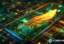 Robinhood Chain surpasses $70M in bridged Ether after launch