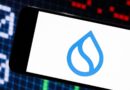 Sui’s Hashi Testnet Goes Live, Targeting a Slice of Bitcoin’s $1.4 Trillion Market