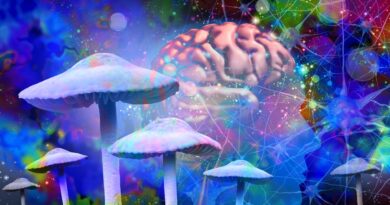Psilocybin Might Make Your Brain Live in the Moment