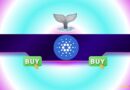 Why Is Cardano (ADA) Up 9% Today While the Crypto Market Stalls?