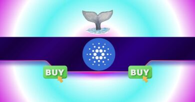 Why Is Cardano (ADA) Up 9% Today While the Crypto Market Stalls?