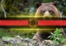 4 Reasons Bitcoin Could Drop Further Next Week