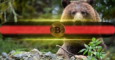 4 Reasons Bitcoin Could Drop Further Next Week