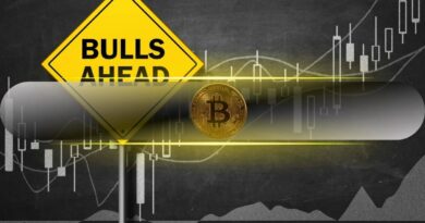 Bitcoin Eyes $74K After Rally as Analyst Flags $67K Support
