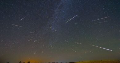 How and When to View the Perseid Meteor Shower (August 2026)