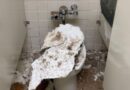 Mice, a Caved-In Ceiling, and Cloudy Water: The GSA’s New Office Is Falling Apart