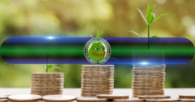 PEPE Supply on Exchanges Just Took a Massive Hit
