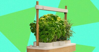Auk Mini 2 Indoor Smart Garden Review: Better Where It Counts