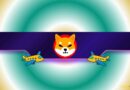 Shiba Inu Team Sets a New Challenge for the SHIB Army: Who Goes First?