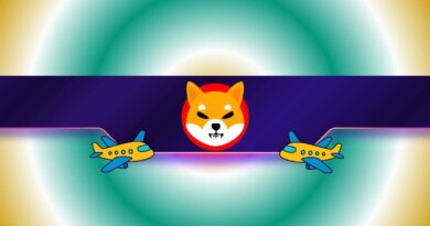 Shiba Inu Team Sets a New Challenge for the SHIB Army: Who Goes First?