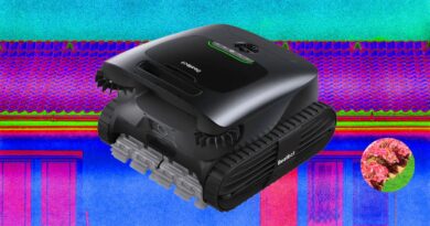 I Tried the Best Robotic Pool Cleaners of 2026: Beatbot, iGarden, Dreame