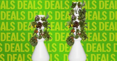 The Best Way to Avoid Diarrhea Lettuce? This Indoor Garden
