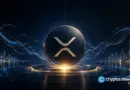 XRP price holds $1 as whale inflows hit 2021 low, is a rebound coming?