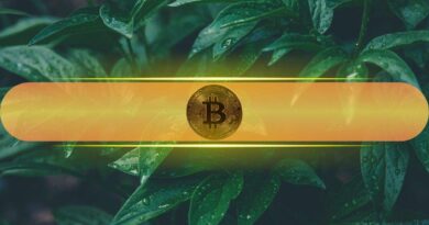 Bitcoin Could Hit $90K – But This Major Test Comes First, Analysts Say