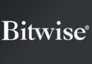 Bitwise CIO Sees Crypto Bull Case Strengthening on 5 Key Shifts