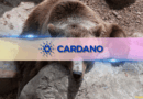 Cardano (ADA) Is Quietly Pulling Off a Bear Market Comeback And Retail Hasn’t Noticed