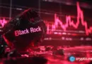 BlackRock stablecoin reserve fund secures top S&P rating