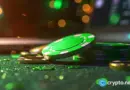 Live dealers, games and payouts compared