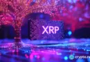 XRP holders can earn up to $10,000 per day