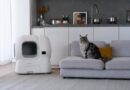 Best automatic litter box: HomerunPet CS106 is under $700