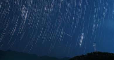 Perseid meteor shower 2026: Peak dates and how to see it