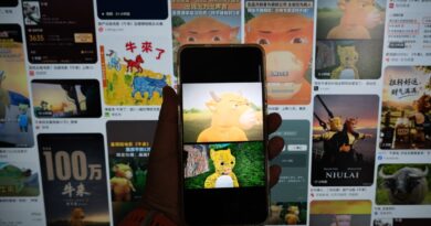 What is ‘Niu Lai’? China’s viral animated movie explained