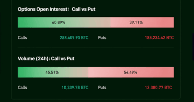 Options Bets Turn Defensive Ahead of a Bitcoin Price Showdown