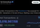 Sui Stablecoin Supply Holds Near $500M as Volume Tops $65B