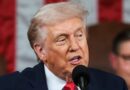 Senators Demand SEC Probe Into Trump Memecoin After $3.8B Losses