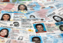 153 Million Driver’s License Leak Sparks Explosive KYC Backlash