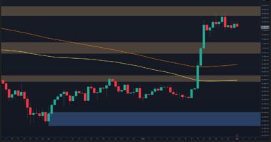 Warning Signs Emerge as BTC’s Breakout Loses Momentum