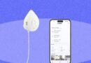 Best Water Leak Detectors (2026): Moen, Phyn, TP-Link