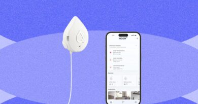 Best Water Leak Detectors (2026): Moen, Phyn, TP-Link