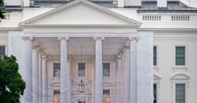 White House takes down ‘Build the Wall’ game after the Tetris Company complains