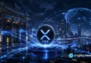 How to learn about the XRPPower intelligent automated trading solution and earn $1,000 in passive daily returns by holding XRP