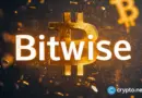 Bitwise HYPE ETF adds $10.5m after four-day pause