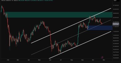 Bitcoin Price Analysis: BTC Clings to $80K Support