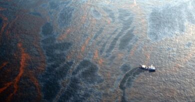 Oil Spills Wreak Havoc on the Bottom of the Ocean, Even a Decade Later