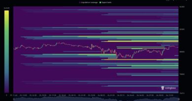 Retail Bitcoin Holders Are Sending Coins to Binance at a Six-Month High While Whales Pull Back: Who Is Right About $80,000?