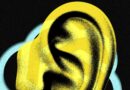 An OpenAI Employee Allegedly Used a Chatbot to Help Plant a Recording Device at the Office