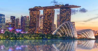 Singapore Reports $3.5 Million in Losses From Tampered Ledger Crypto Wallets