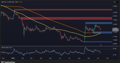 XRP Tests Critical Trendline Following Recent Correction
