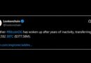 A $377M Bitcoin Whale Wakes up While Another Dumps BTC for Ether